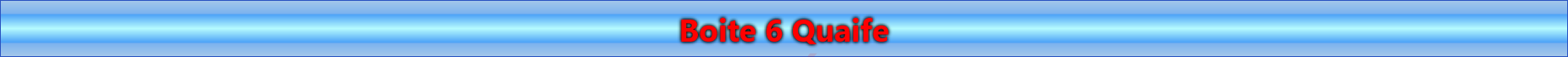 Boite 6 Quaife